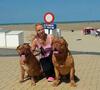 Profile picture for user Yuliya Gledis